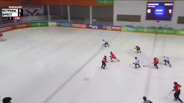 Хоккей. Чемпионат. Юноши 2010. Пинские ястребы - Брест. Видеообзор игры