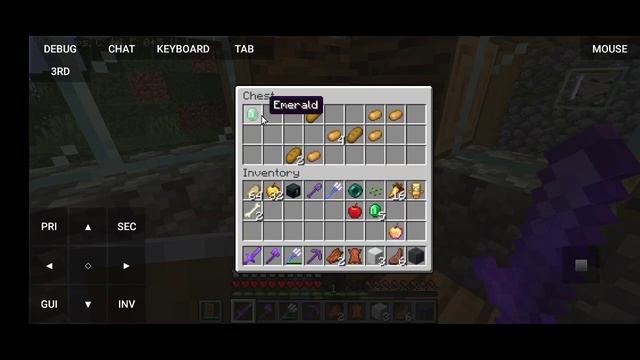 Minecraft Java Edition on Mobile