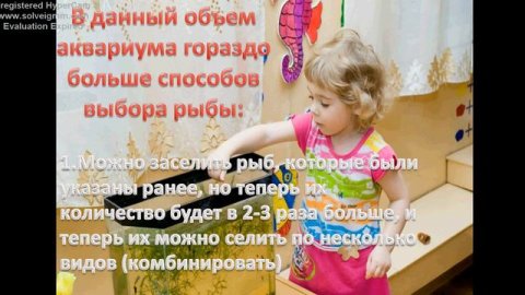 Аквариум для ребенка. Объем и рыбки!!!