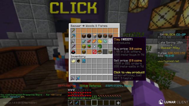 The Infinite Bazaar Money Making Methods! *FLIP NOW* (Hypixel Skyblock)