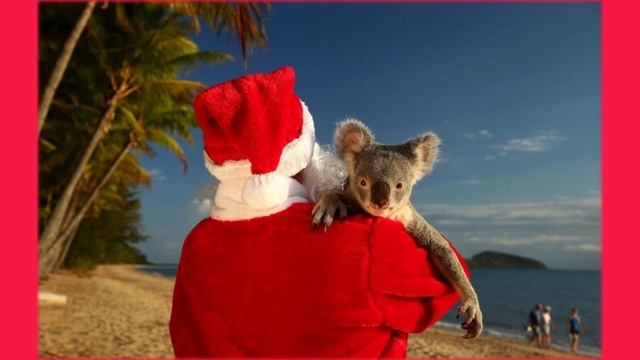 NEW YEAR IN AUSTRALIA.   НОВЫЙ ГОД В АВСТРАЛИИ