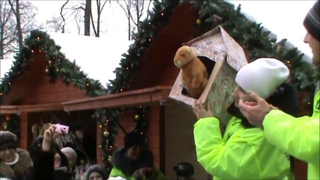 Groundhog Day ILS 2016