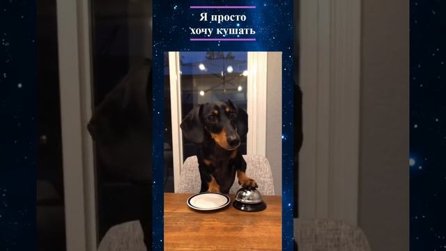 Приколюхи