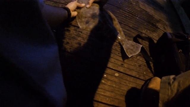 Pre & Post STORM Fluke / Flounder Fishing W. GULP & LIVE Peanut Bunker Bait