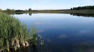 Пруд с. Тукаево #башкирия2020