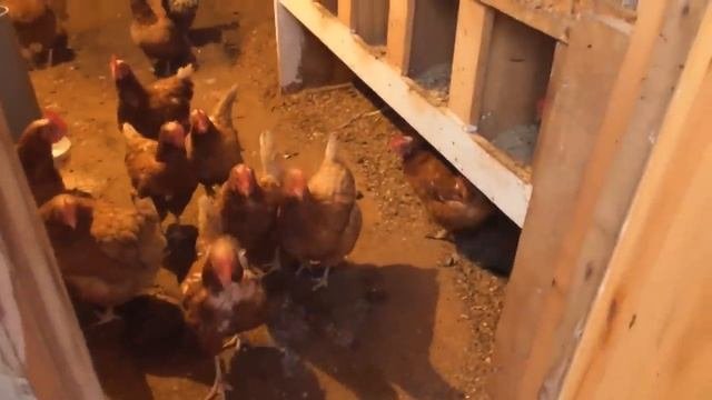 Закупка продуктов // Кто считает наши пособия, пенсии// 23.12.19.