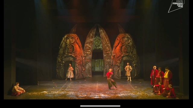 Я в роли пьяного казака в опере "Черевички" Санкт-Петербург опера!