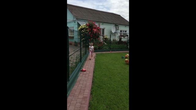 Утренний выгул собак гостиница для собак Полтава