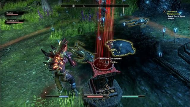 Tamriel Online [Avec Yuushito] Quel est votre Stratégie ? Fuir !