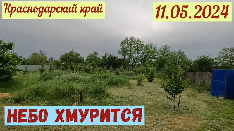 Краснодарский край. Работы в саду под угрозой(11.05.2024)