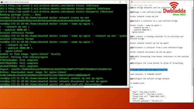How to configure a bridge network and run containers on it | Docker tutorial