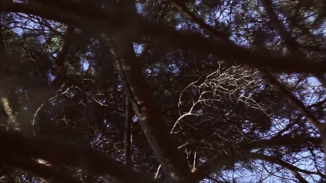 Мон ами [French Mix] · аминь feat. Йозеф Эй
