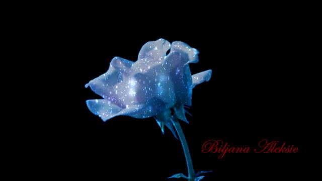 Samvel Yervinyan Quiet Love