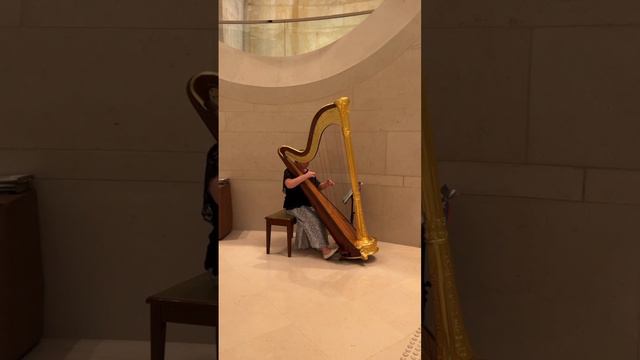 В одном из отелей Гонконга прозвучал гимн России, на арфе.