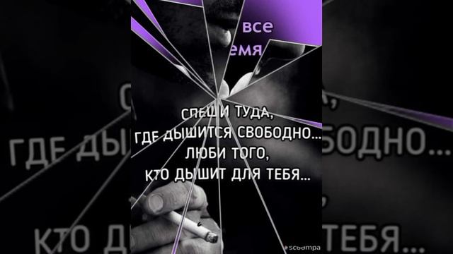 Красивые цитаты 💯 Мысли 💯 Позитив 💯