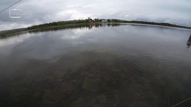 FLY FISHING For Giant Grayling in the Swedish Mountains