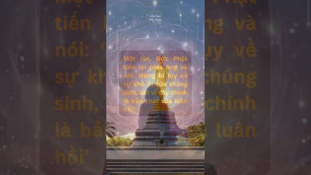 Tâm Linh Chính Là Tự Do Và Giải Thoát  #phậtgiáo #education #buddha