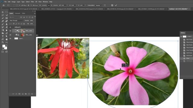 #16 How To Use The Frame Tool in Photoshop CC 2019 Tutorial in HINDI | KUJUR Graphics design