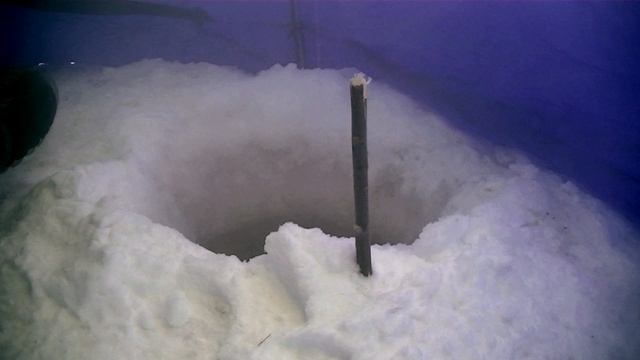 -42!.mpg