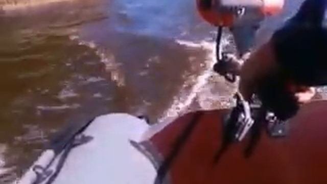 лодка пвх 290 л  мотор карвер 3.8