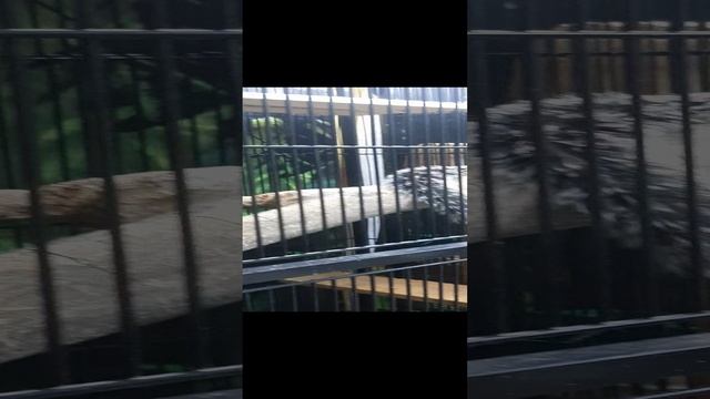 в гостях у КиКи