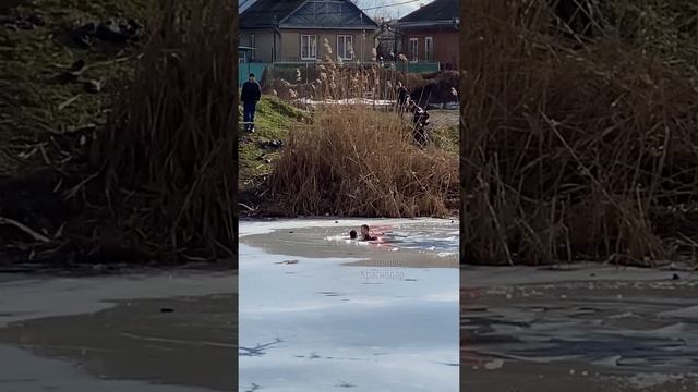 Спасение школьников, провалившихся под лед в Краснодаре