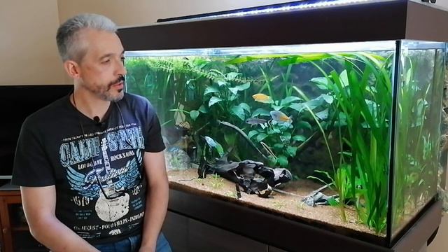 Les points blancs des poissons ,comment traiter .