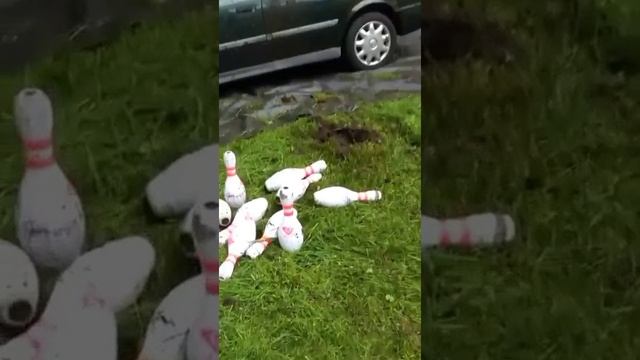 Отчаянный ведущий и друзья подельнички!