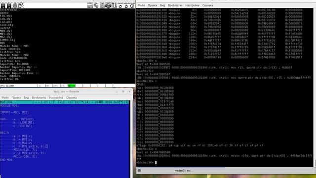 Oberon Раздельная компиляция, динамическая загрузка и связывание