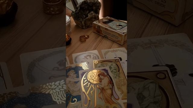 VID_20230715_024556_609.mp4