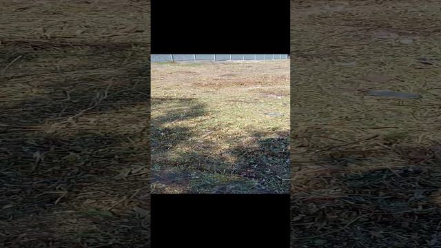 VID_20240916_115953