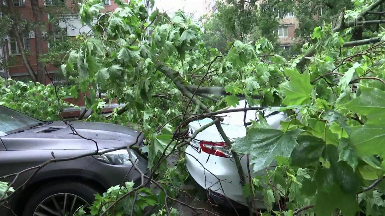 Два человека погибли и около 30 пострадали в результате мощного урагана в Москве