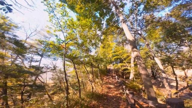 Trekking Nearby Hill | Yokohama, Japan | DJI Action 2 | 4K Walking Video
