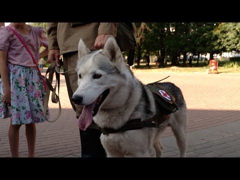 Верный друг: в Чебоксарах прошёл день фронтовой собаки