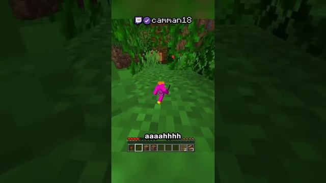 Minecraft, But I'm Really Small