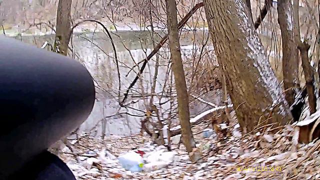 Edgun Matador .25  2 Duck's Эдган Матадор 6,35 утка и селезень с 35 метров