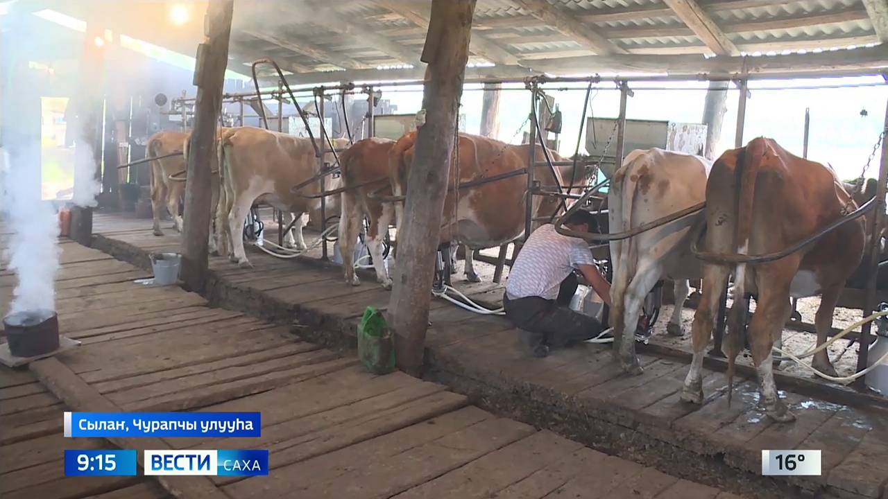 09:00 ВЕСТИ САХА 30/07/24 НА ЯКУТСКОМ ЯЗЫКЕ