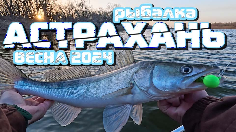 Рыбалка Астрахань 2024 Весна 4К