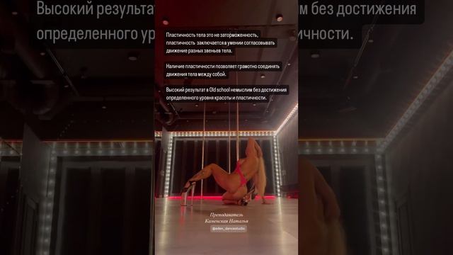 Exotic pole dance Каменская Наталья. Eden dance studio 020824 (11)