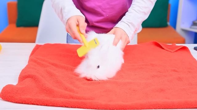 Богатая кошка vs бедная собака! Строим секретные домики для животных!
