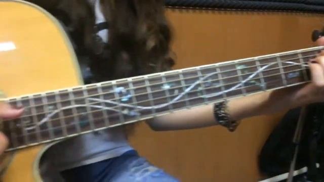 Ibanez aw40ece NT