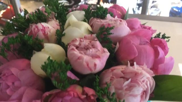15 пионов в шляпной коробке