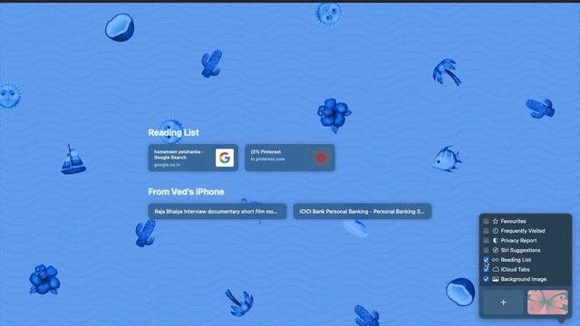 How to customise safari browser in MacBook