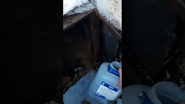 И всё так же ночью снится мне деревня, отпускать меня не хочет Родина моя...родные места.