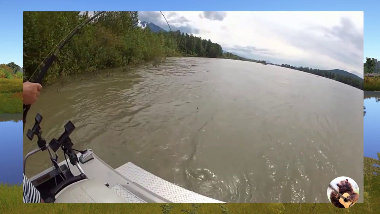 Hobby Fishing  посвящается!