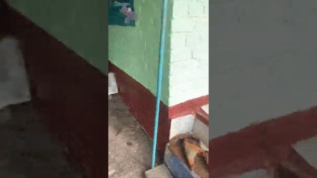 Дача Белгород продажа