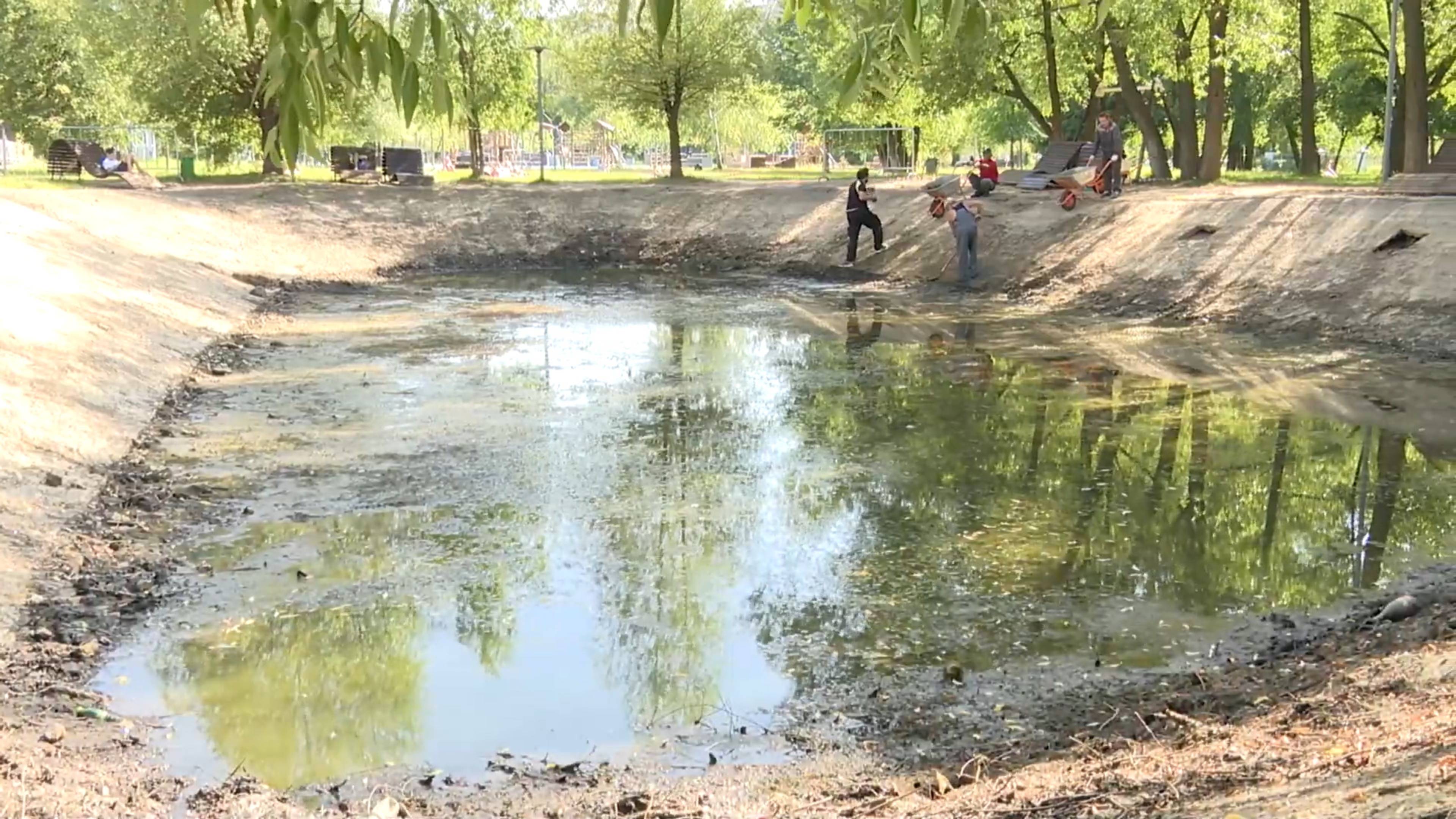 В Центральном парке Реутова очищают пруды 17.07.2024