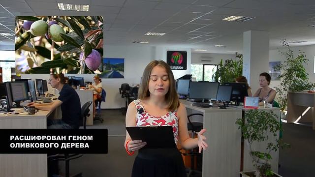 Расшифрован геном оливкового дерева