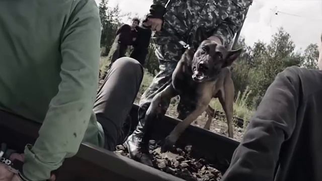 Бросил камень в поезд попал в человека