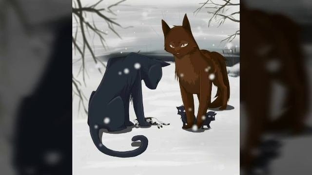 Коты ВоителиГрусть
